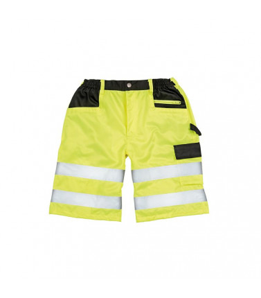 Bermuda catarinfrangente